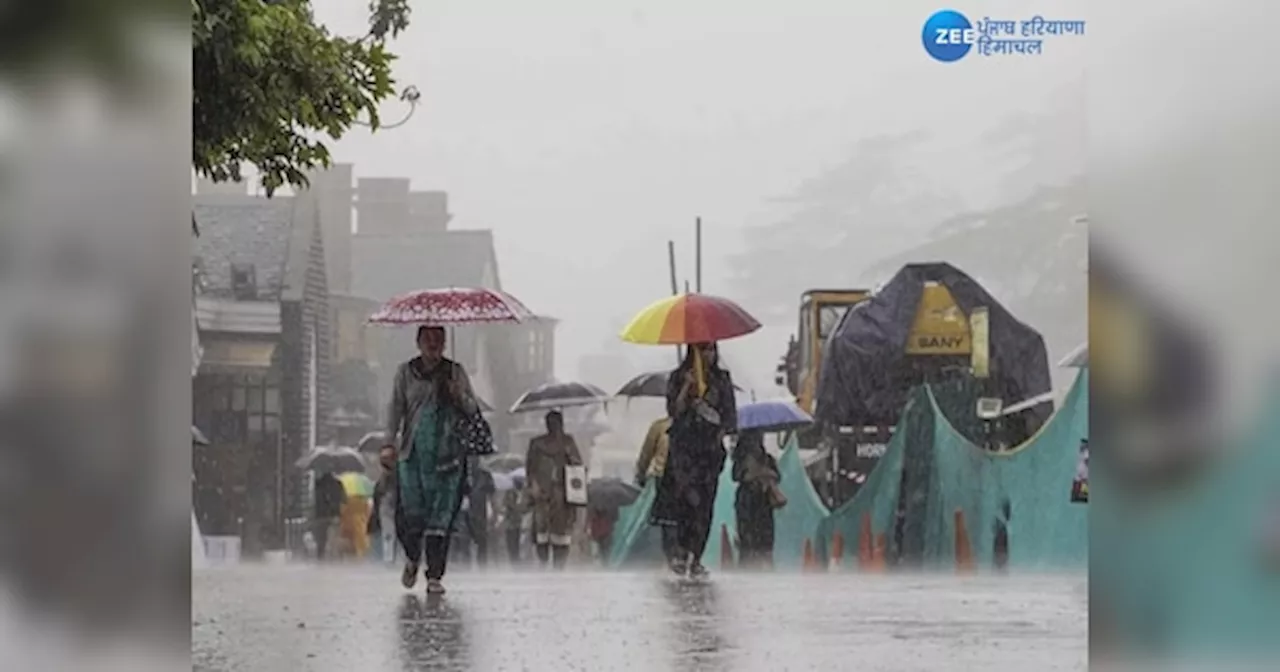 Weather Update Himachal Pradesh: हिमाचल प्रदेश में भारी बारिश जारी, शिमला में जगह-जगह गिरे पेड़