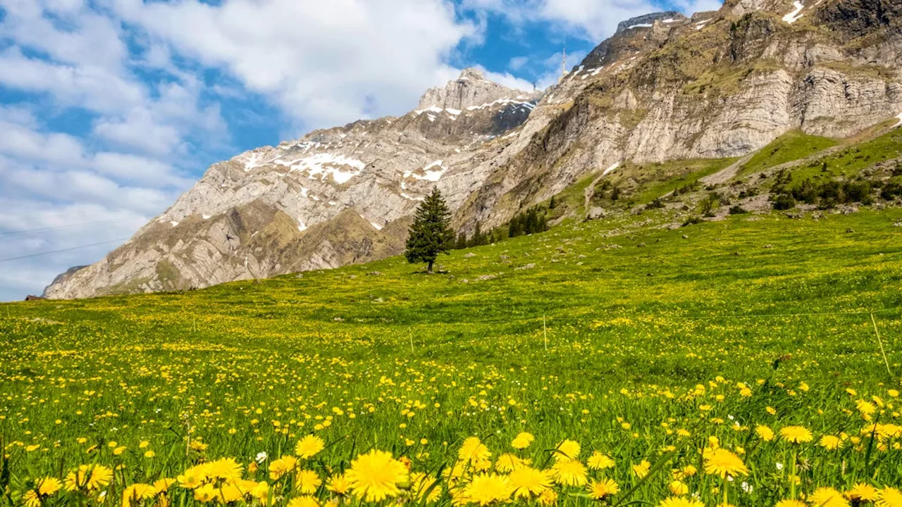 29-Jähriger stürzt im Alpstein ab – jede Hilfe kam zu spät