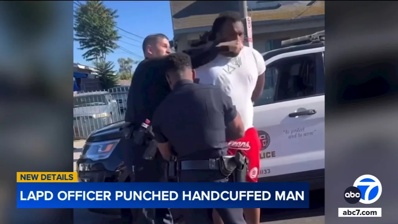 Attorney speaks out after LAPD bodycam video shows officer punching detained suspect in Watts