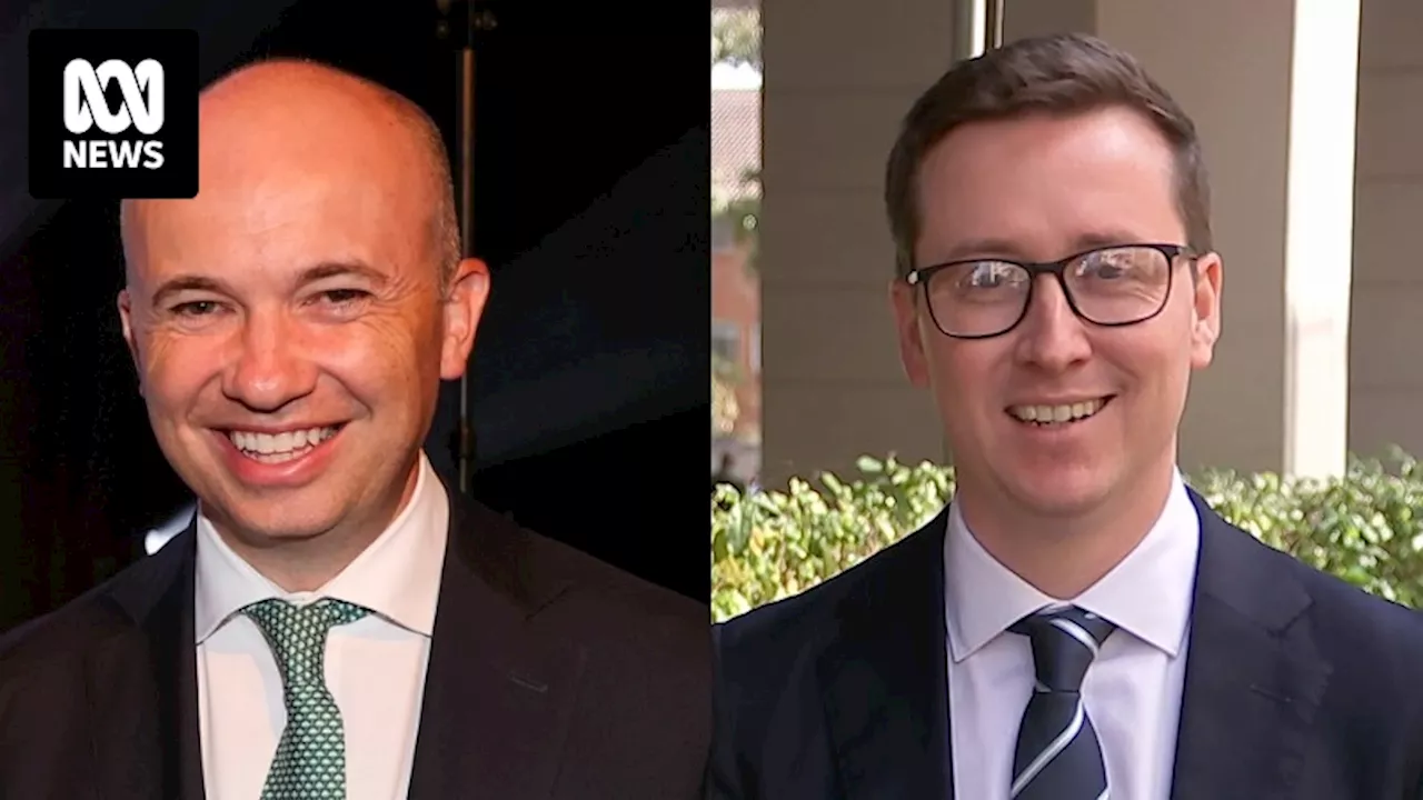 NSW Liberals preselect James Wallace to stand in former treasurer Matt Kean's seat of Hornsby