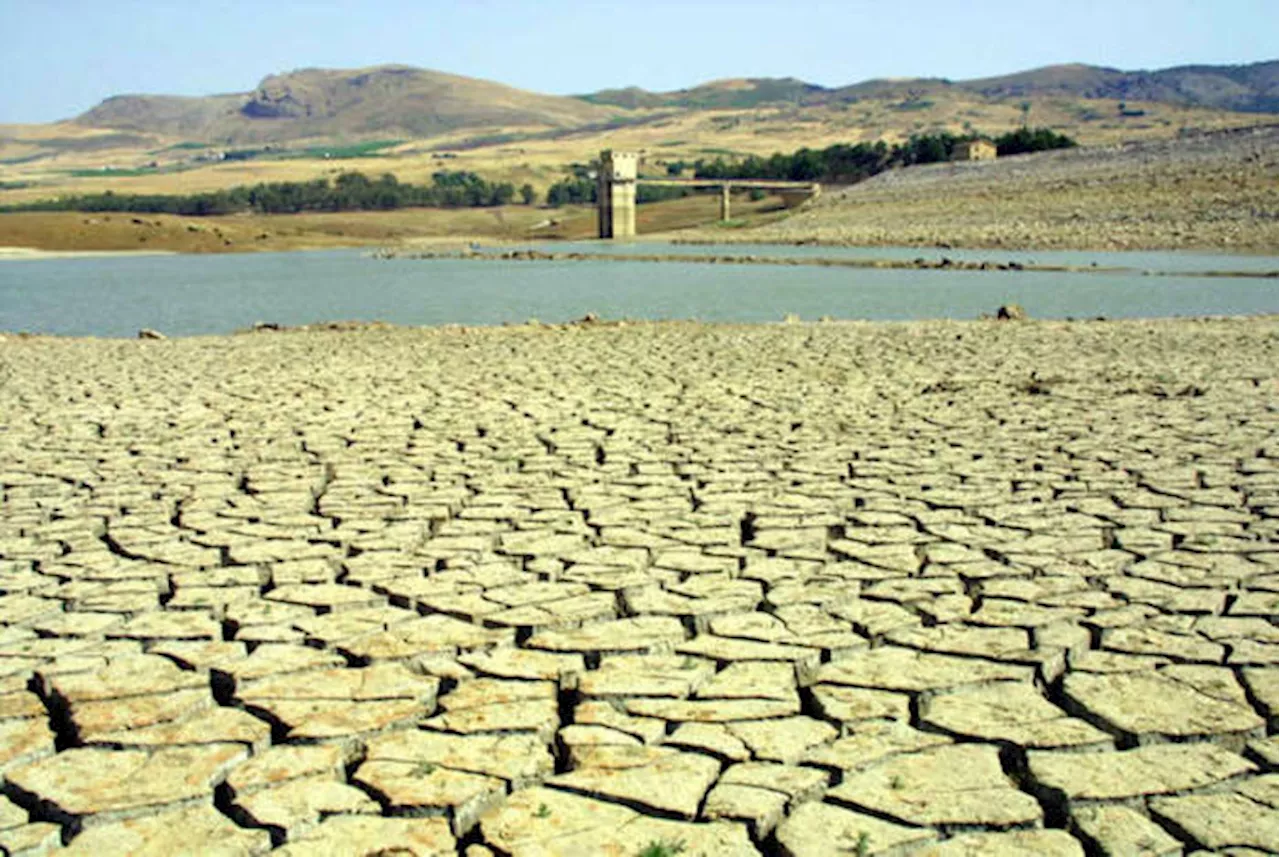 Coldiretti, -fino a 70% grano. E' dramma siccità al Sud e nelle Isole