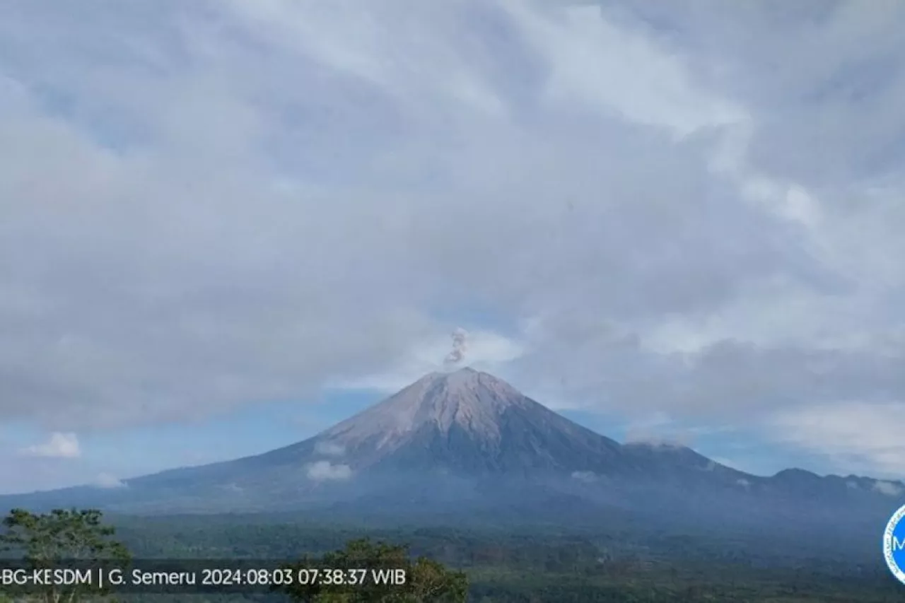 Tetap waspada, PVMBG: Aktivitas gempa Gunung Semeru masih tinggi