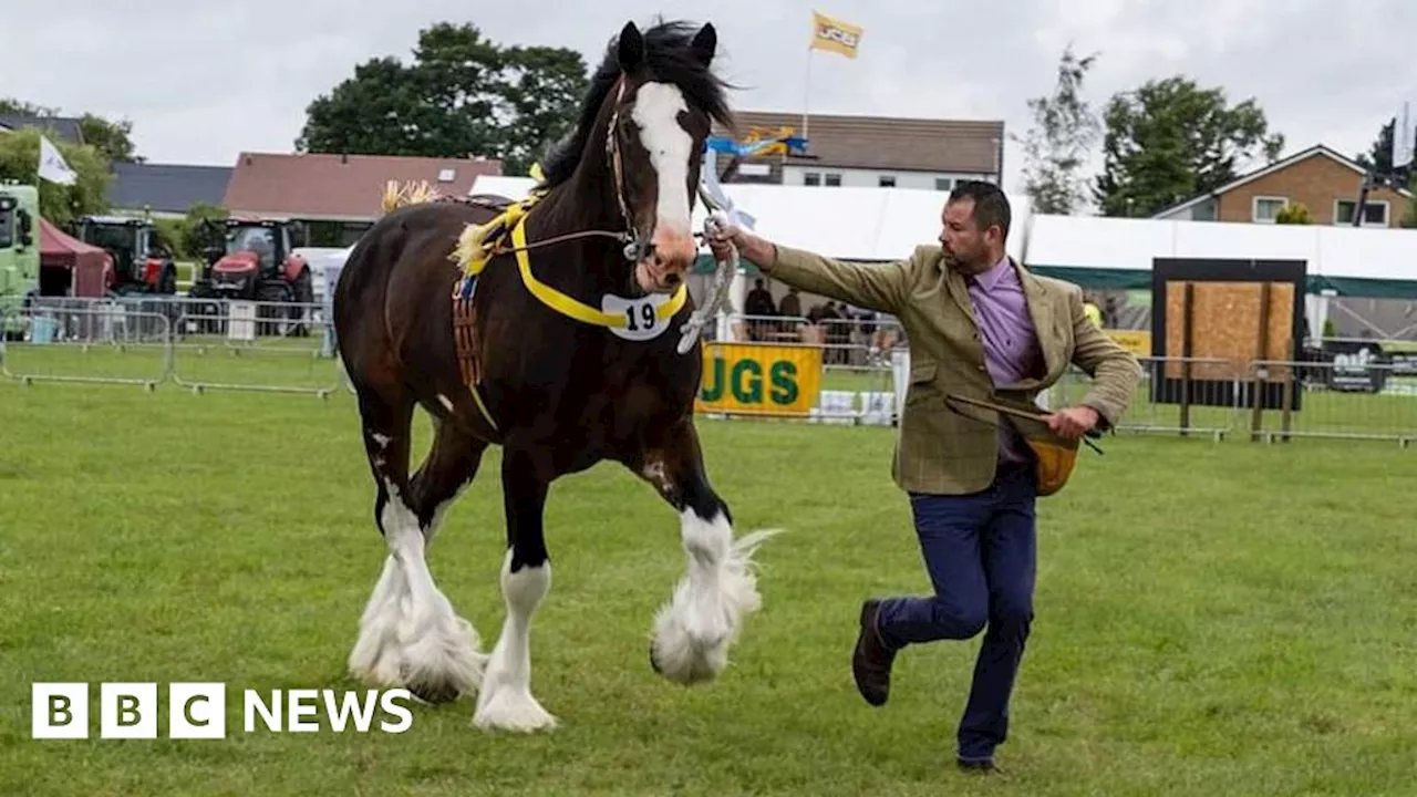 Historic Garstang country show to celebrate farming and food