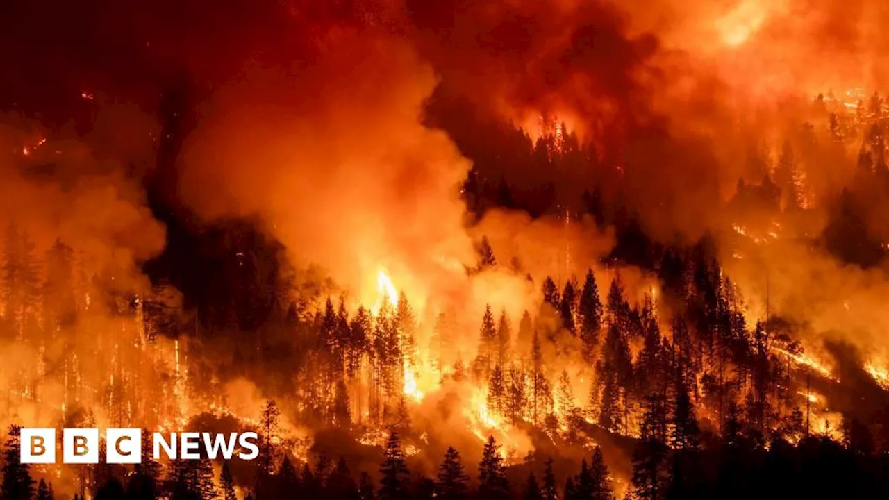 Park Fire: California man sees home burn for second time