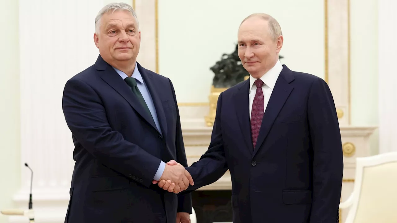 Wegen Putin-Kumpel Viktor Orbán: Grenzkontrollen zu Ungarn gefordert!