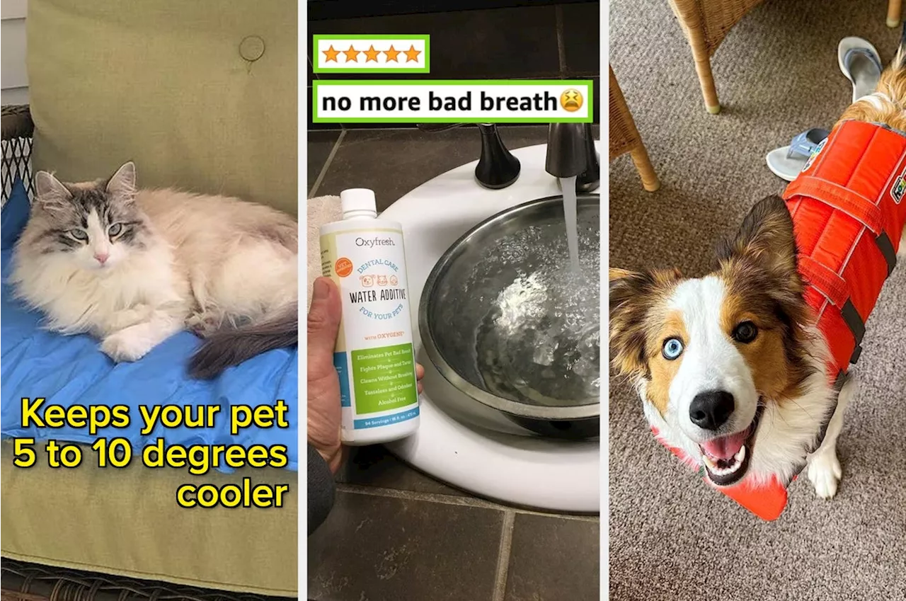 32 Pet Products That Reviewers Say Are 'Lifesavers'