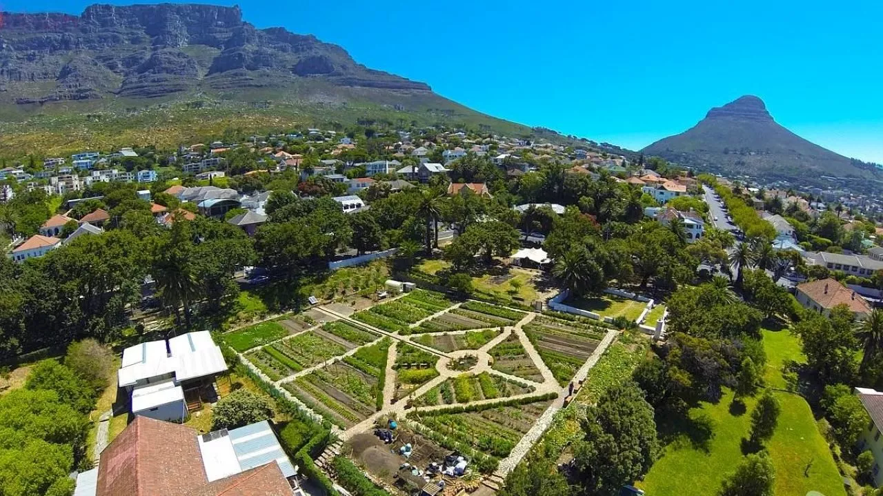 Oranjezicht: Cape Town's affluent suburb offers unmatched charm and modern living