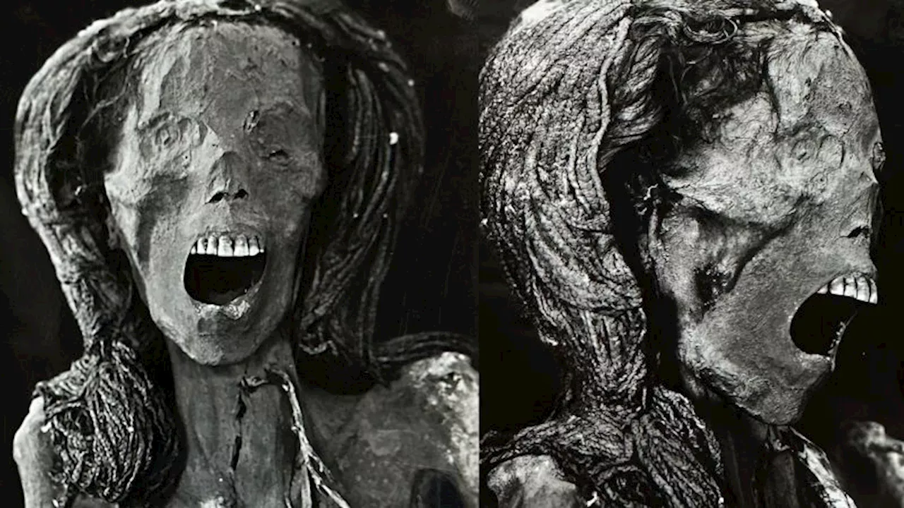 Scientists reveal new details about ‘screaming’ Egyptian mummy’s life and death