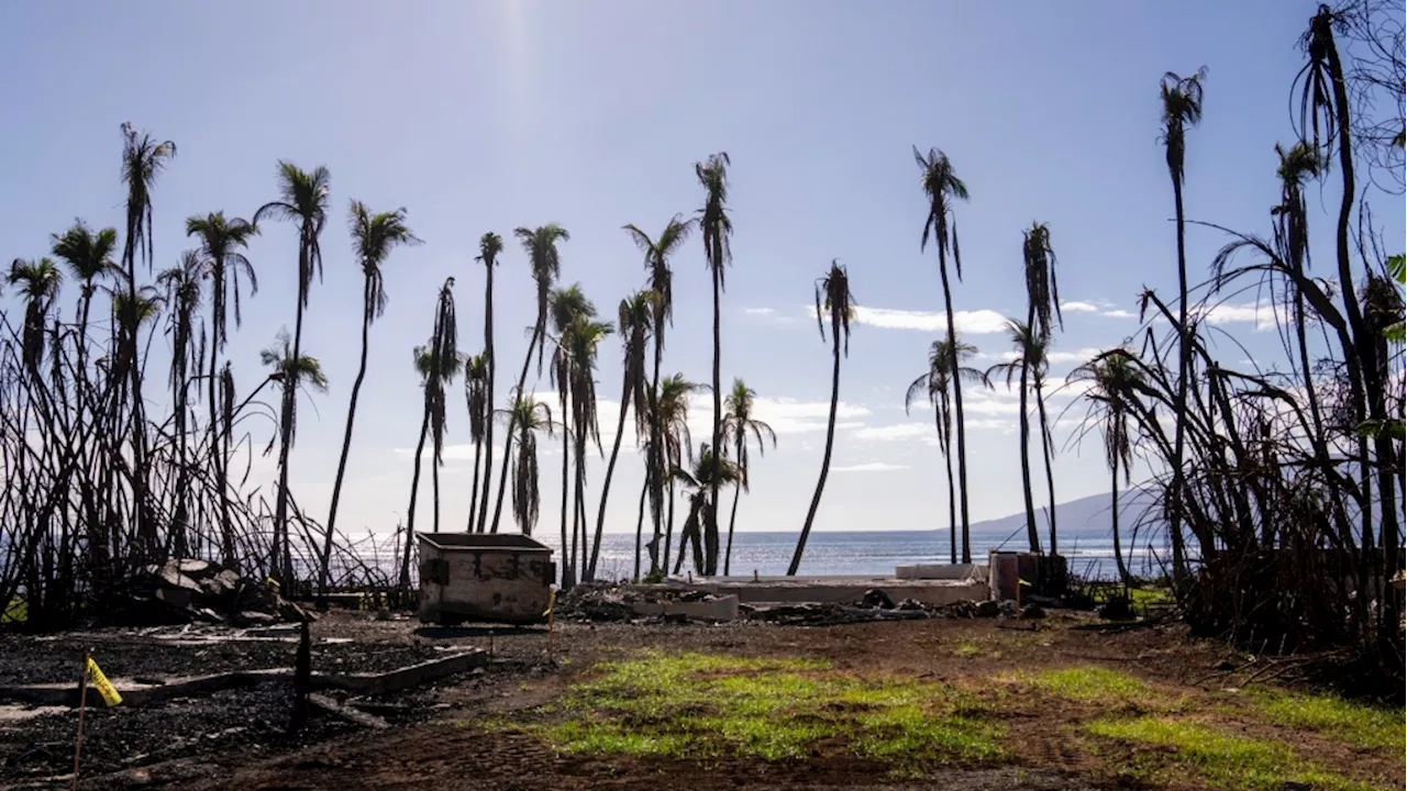 Parties in lawsuits seeking damages for Maui fires reach US$4B global settlement, court filings say