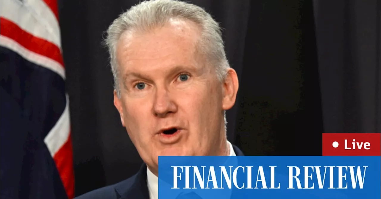 Tony Burke backs probe into Frankcom’s death; Ledecky holds off Titmus