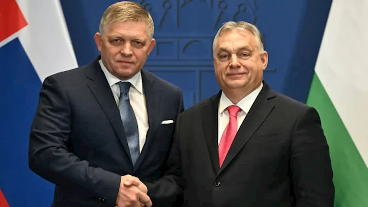 Brussels tells Hungary and Slovakia to wean themselves off Russian oil