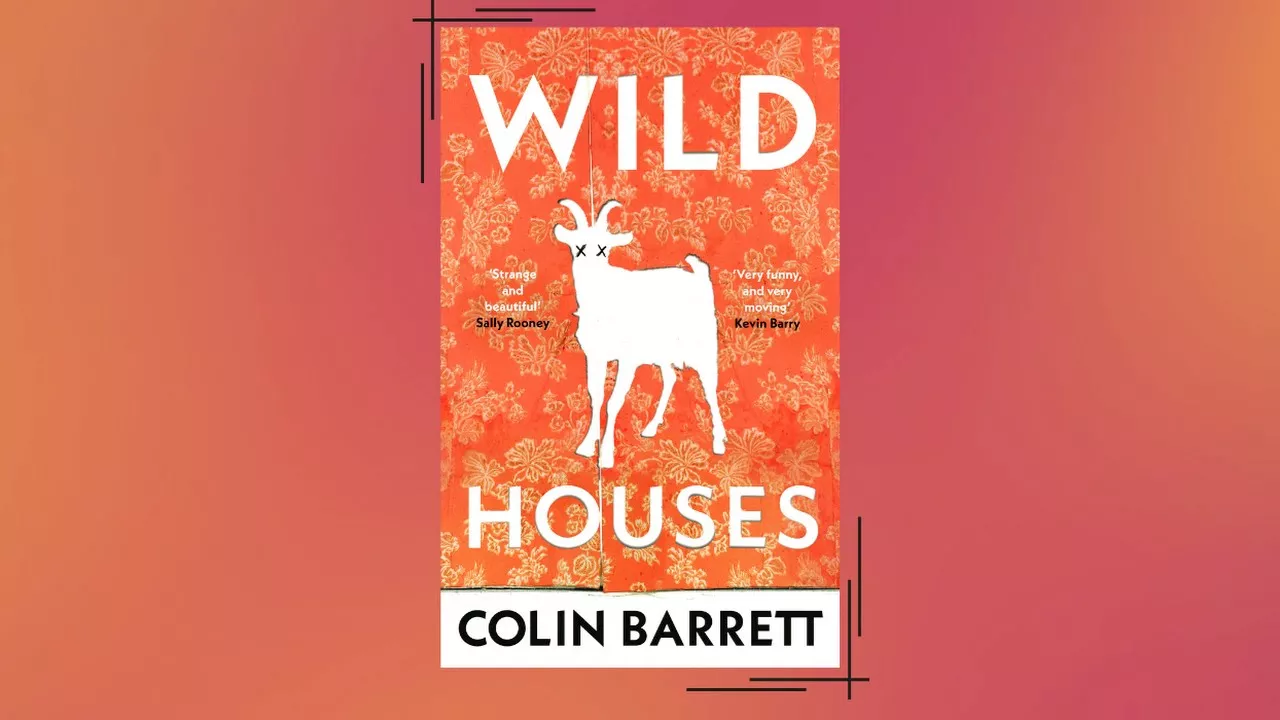 Read an extract from Colin Barett’s Booker Prize-nominated debut novel, Wild Houses