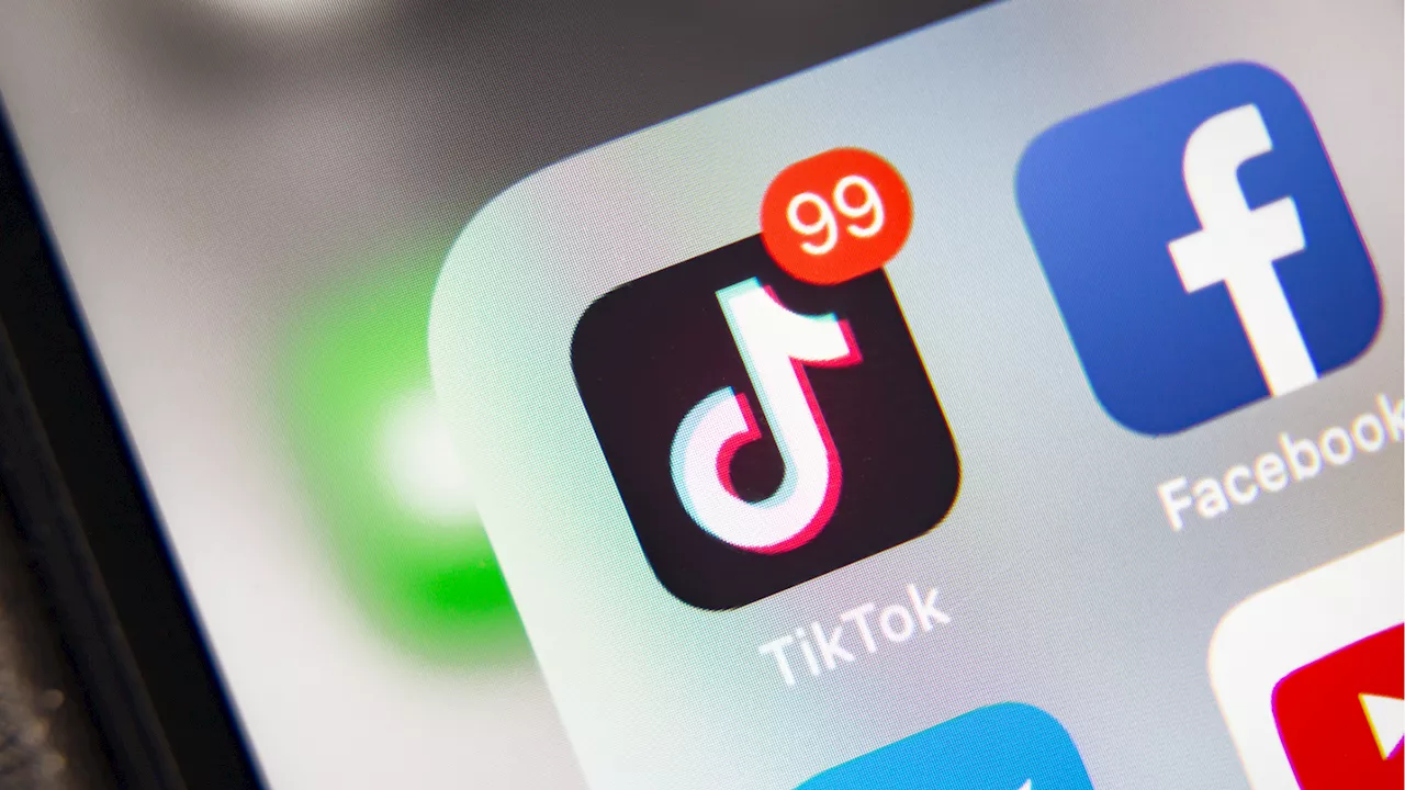 TikTok ‘flagrantly’ violated privacy laws involving children under 13: US govt