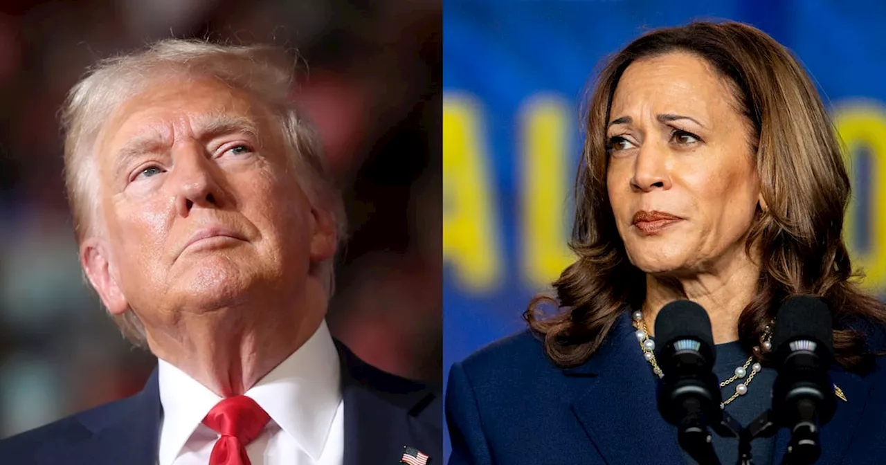 Donald Trump agrees to debate Kamala Harris in September