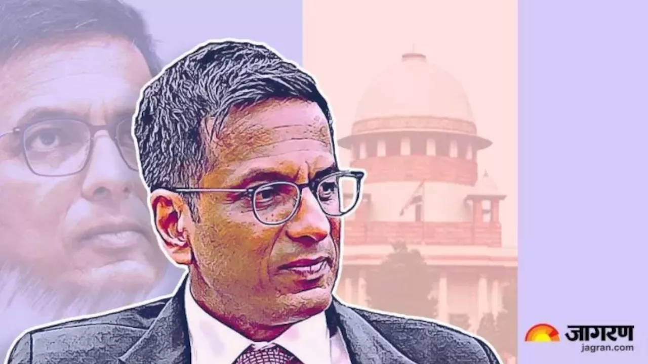 'लोग कोर्ट के मामलों से इतना त्रस्त हो जाते कि बस समझौता चाहते हैं', CJI चंद्रचूड़ ने ऐसा क्यों कहा