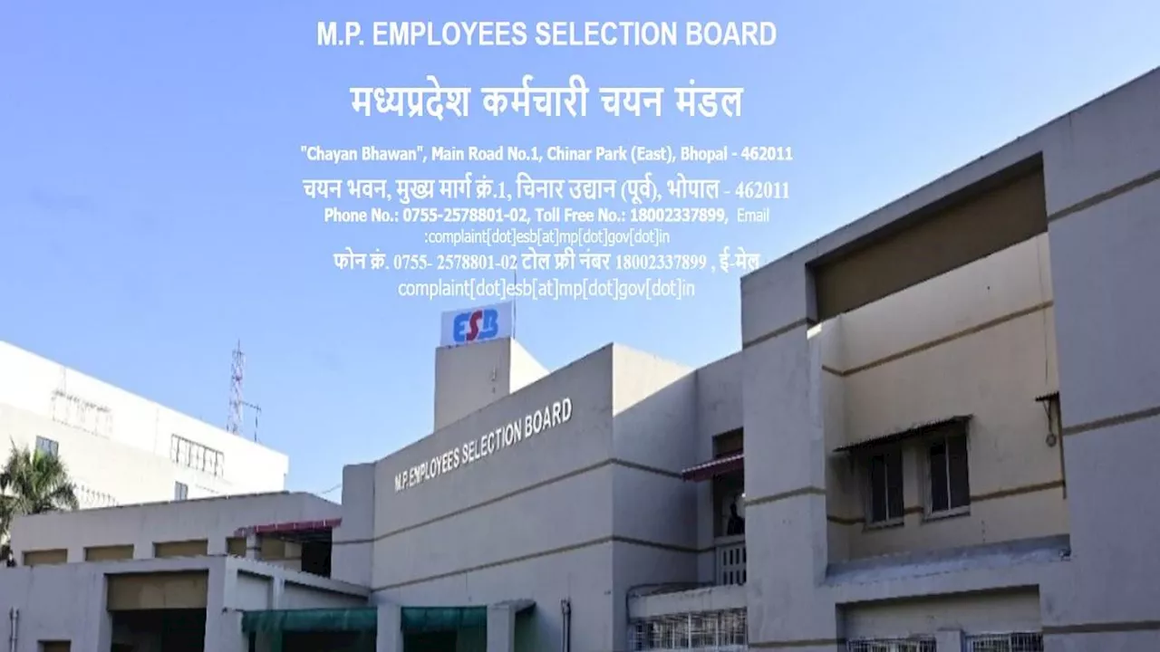 MPESB Recruitment 2024: मध्य प्रदेश में सब-इंजीनियर, टेक्नीशियन समेत कई पदों पर निकली भर्ती, यहां पढ़ें डिटेल