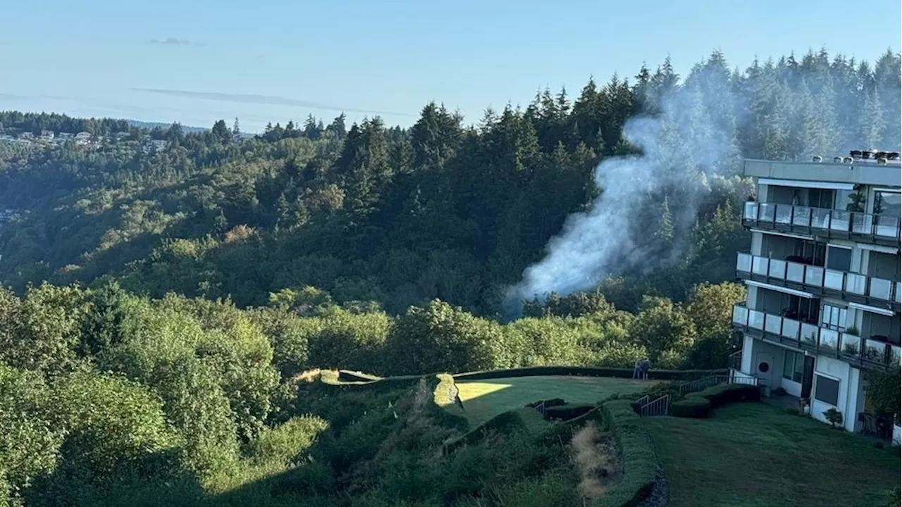 Tacoma residents share wildfire concerns following multiple fires near homeless camp