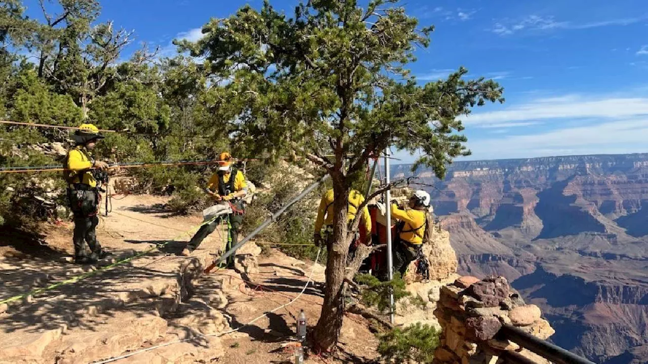 Man dies after attempting to BASE jump in the Grand Canyon