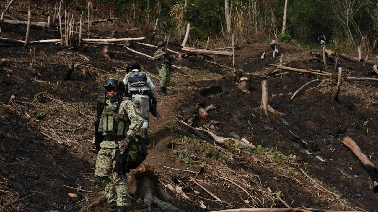 Detienen a 2 células del 'Güero Pulseras' en Chiapas; está ligado con Ismael 'El Mayo' Zambada