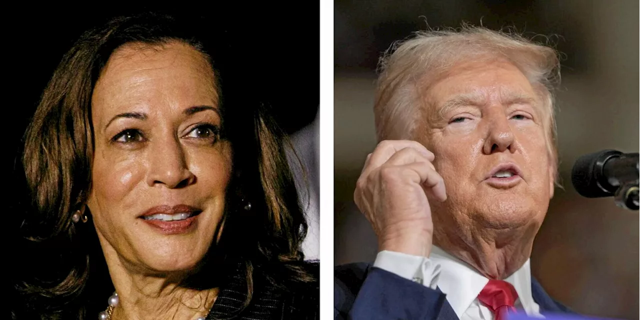 Présidentielle américaine : le premier débat entre Donald Trump et Kamala Harris se précise