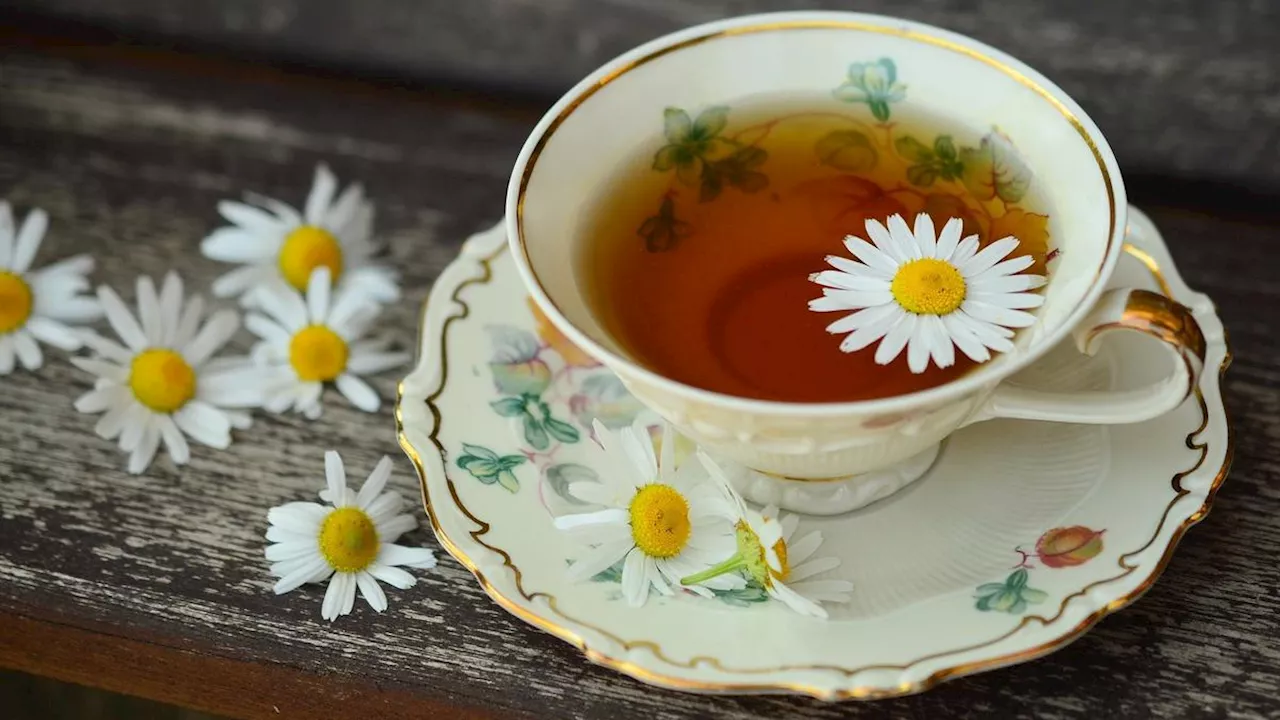 8 Khasiat Teh Chamomile yang Menakjubkan untuk Kesehatan Anda