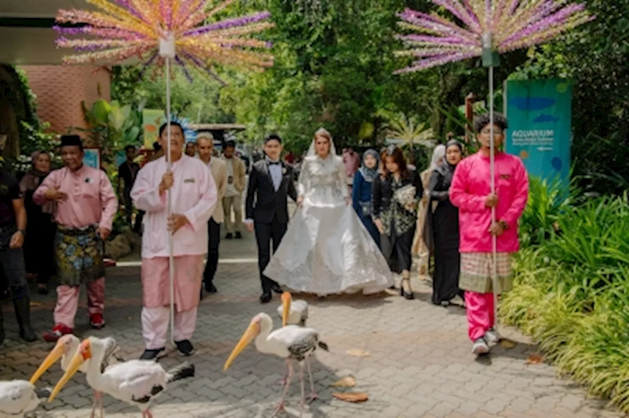 How about saying ‘I do’ at the zoo?: Seal your love in style with storks as your bridesmaids