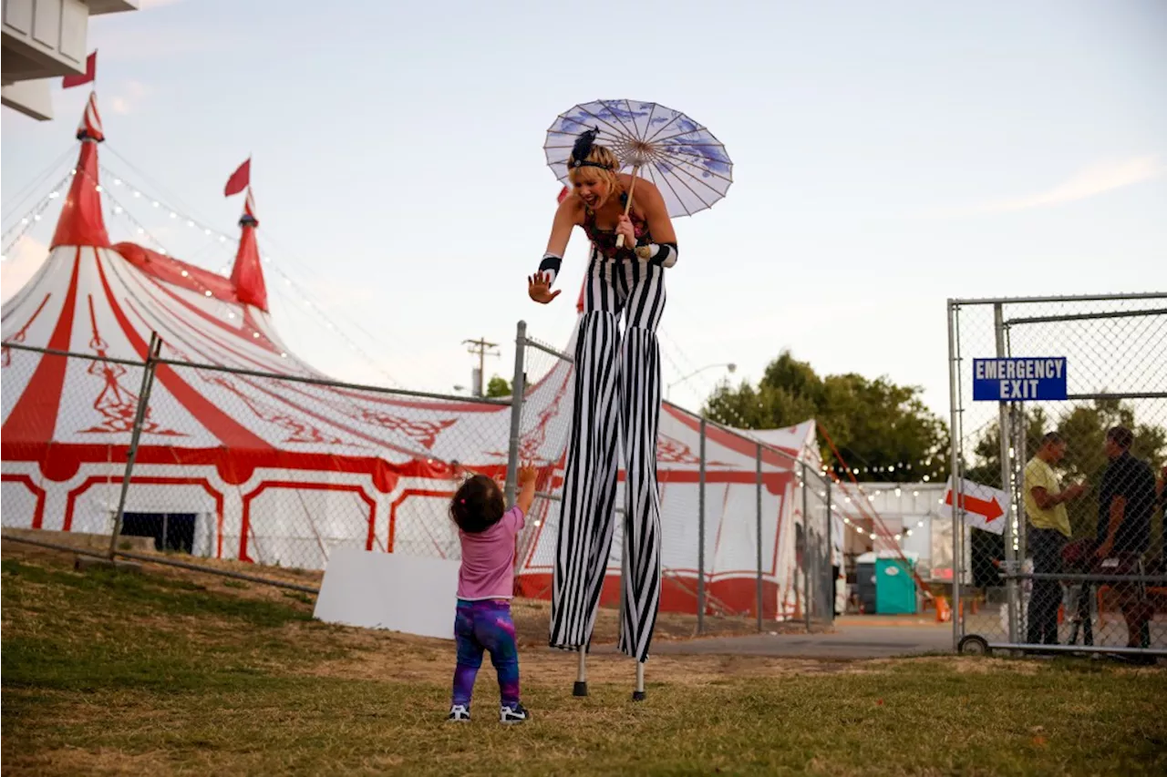 Prize hogs and robot dogs delight at Santa Clara County Fair