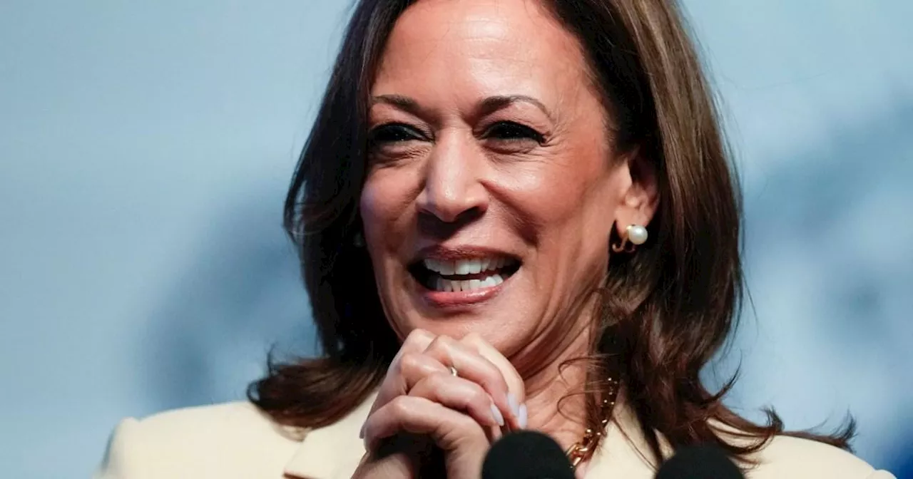 How Kamala Harris became first black woman and Asian American nominee