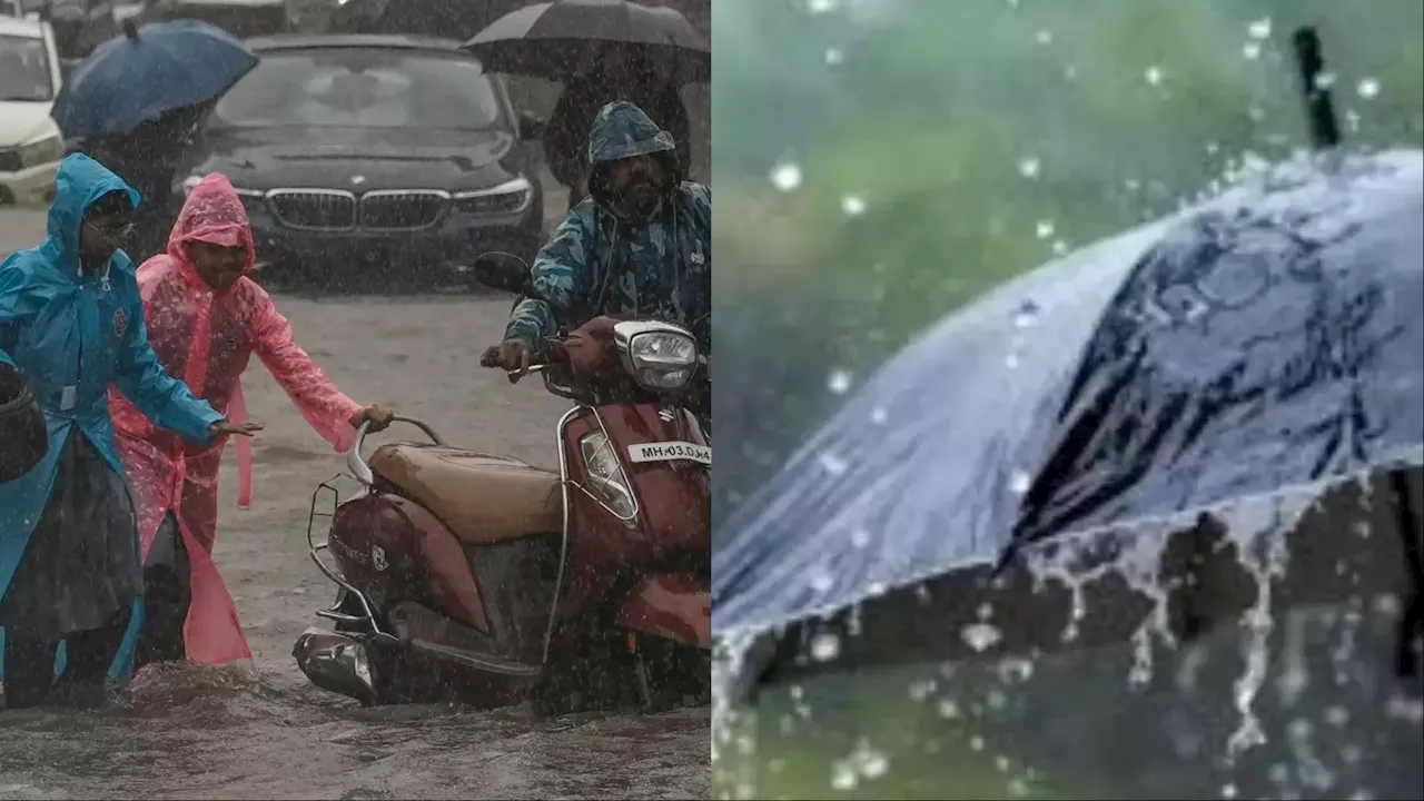 Mumbai Rains: मुंबई-ठाणे में बारिश का ऑरेंज अलर्ट, पुणे-पालघर और सतारा में रेड, IMD ने कहा- संडे को घर पर ही रहें