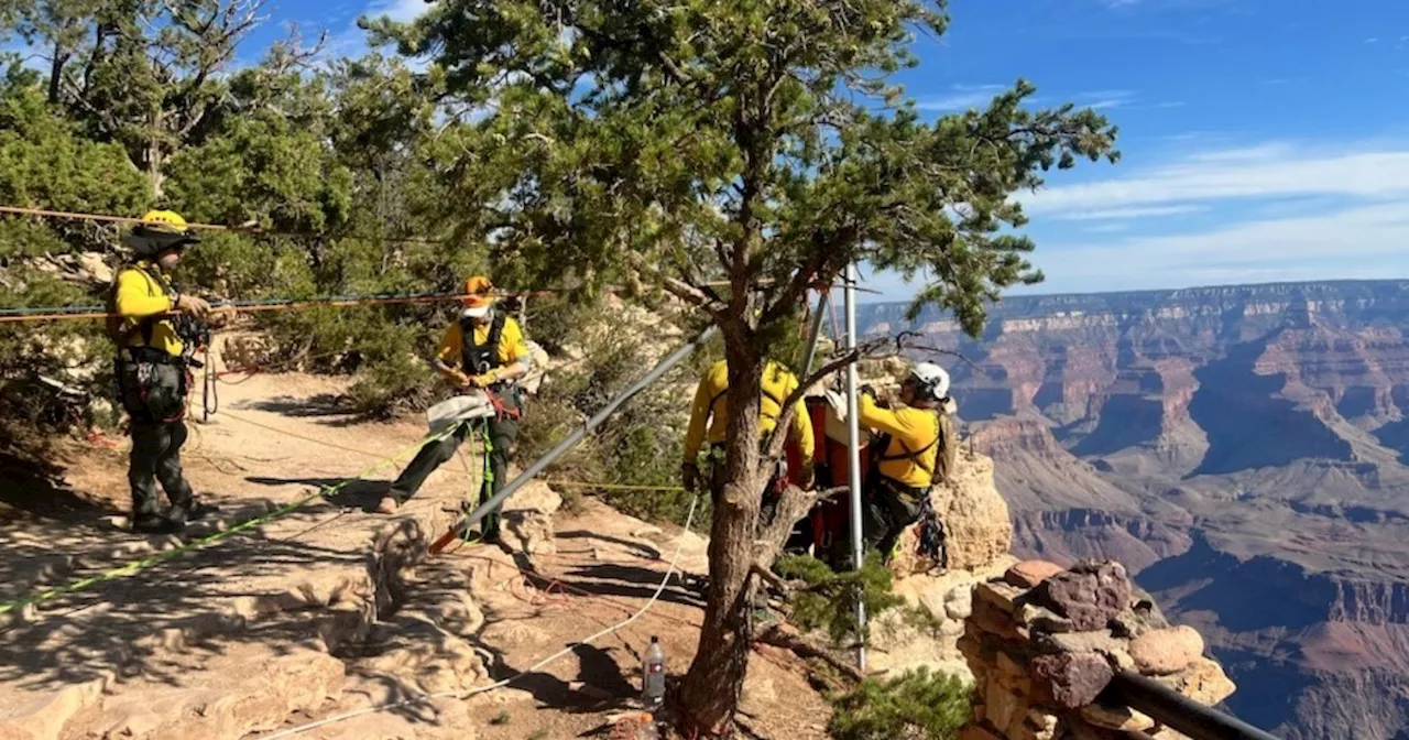 BASE jumper dies in jump at Grand Canyon