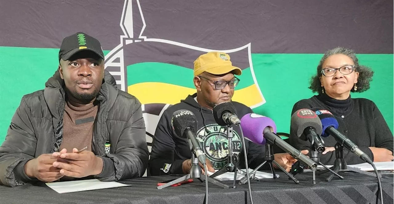 'Time to do or die ... adapt or perish': ANC faces existential threat if it doesn't change, warns NEC