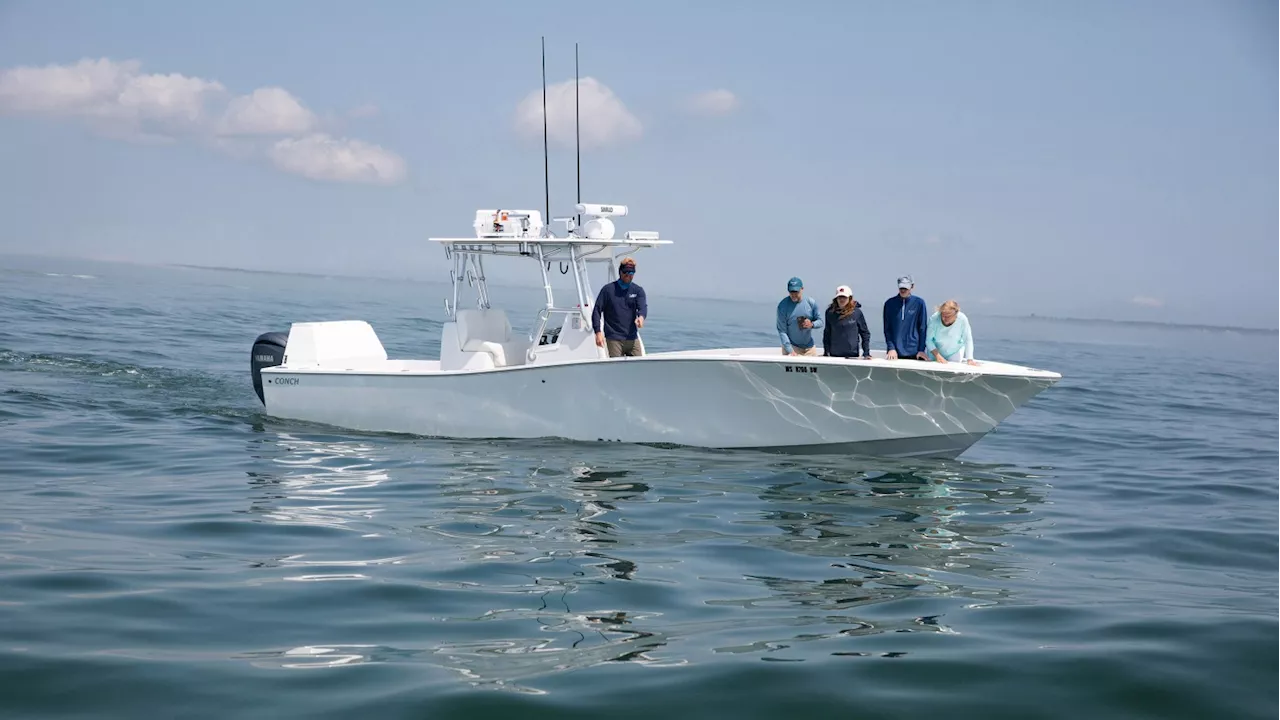 Pricey great white shark tours take off in Cape Cod