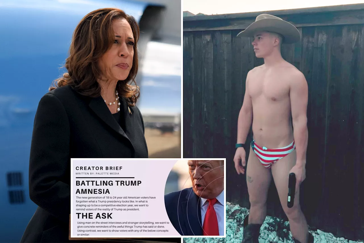 Kamala Harris SuperPAC soliciting anti-Trump posts from OnlyFans stars – including gay Trump supporter