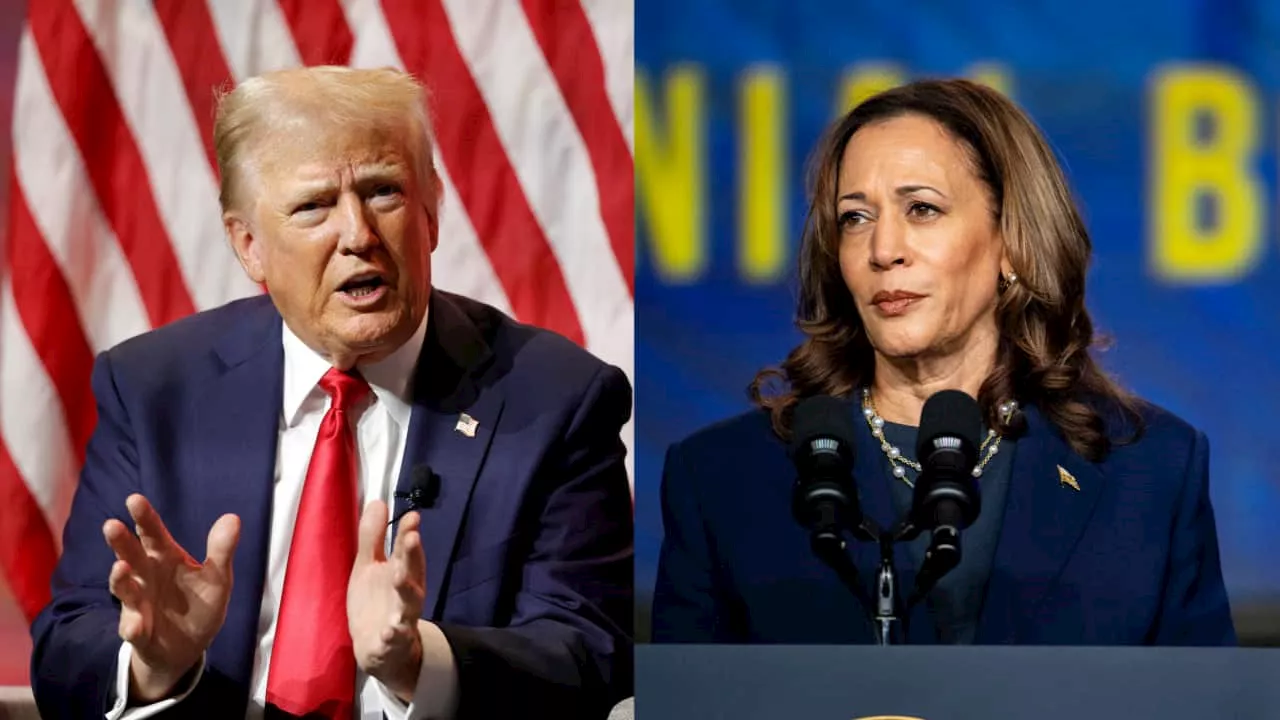 Donald Trump pledges to debate Kamala Harris after she accused him of 'backpedaling'