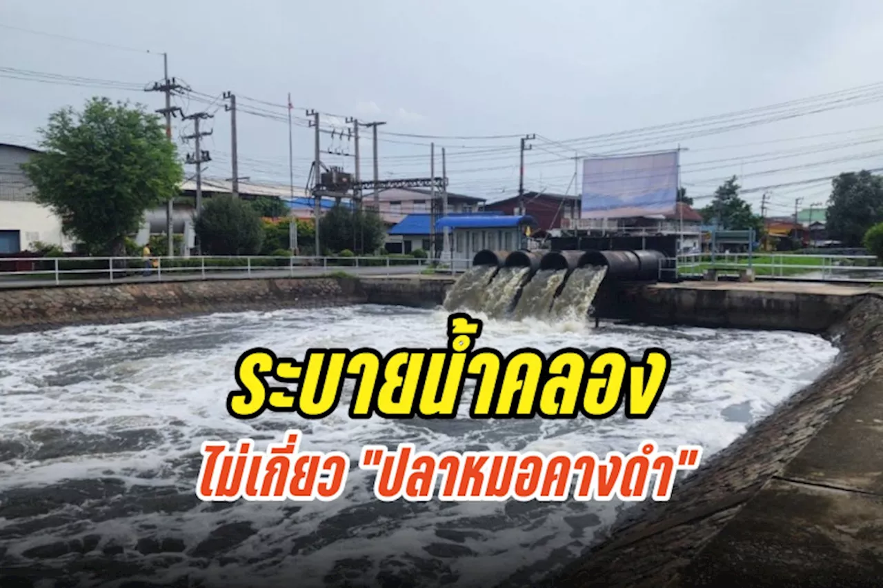 กรมชลฯ ยันระบายน้ำในคลอง ไม่เกี่ยวปล่อย 'ปลาหมอคางดำ'