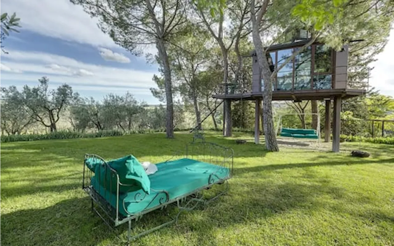 Dormire tra i rami di un albero, viaggio tra le 20 tree-house più suggestive d’Italia