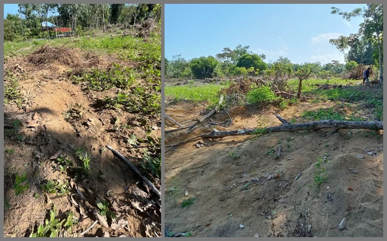 Elderly woman believed to be trampled to death by elephants in Kluang