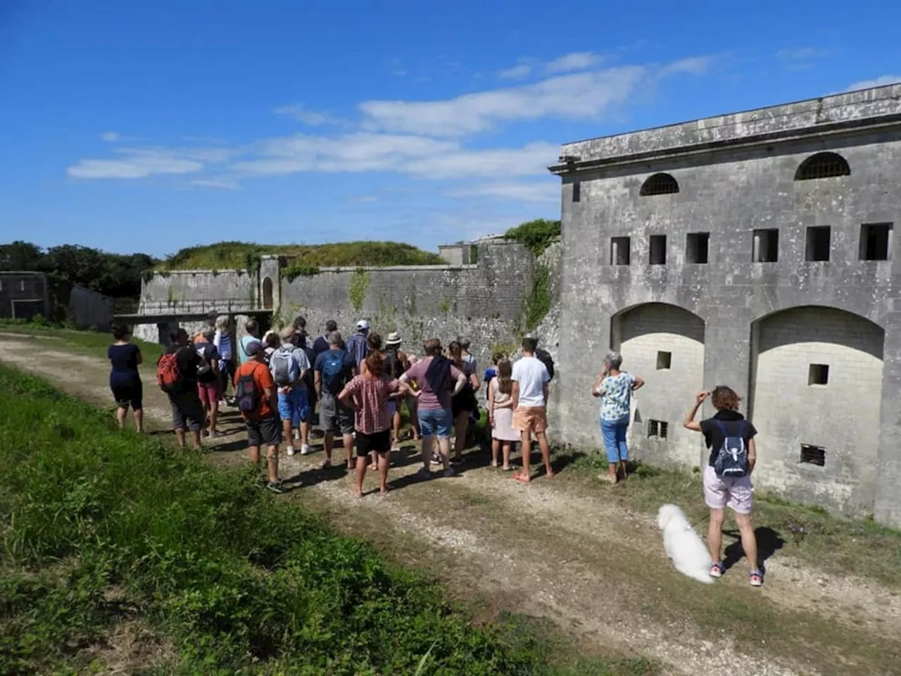 Charente-Maritime : le fort de l’île Madame livre ses secrets en août