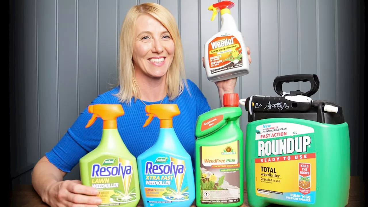 – the £6 winner was quick and easy to use and didn’t kill my grass...