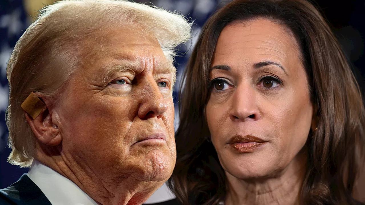 Donald Trump Challenges Kamala Harris to a Debate on Fox News