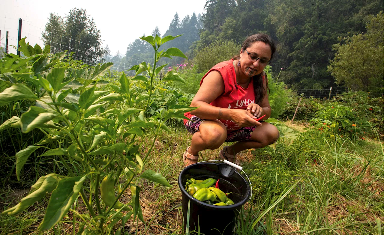 How Indigenous Land Reclamation Is Helping Heal California&#8217;s Klamath River