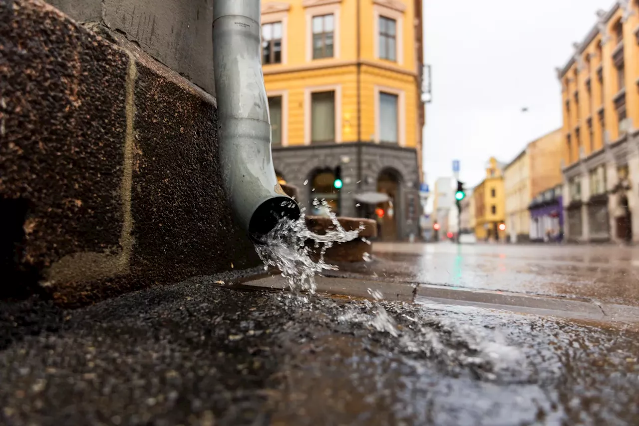 Styrtregn i Trøndelag og deler av Østlandet søndag