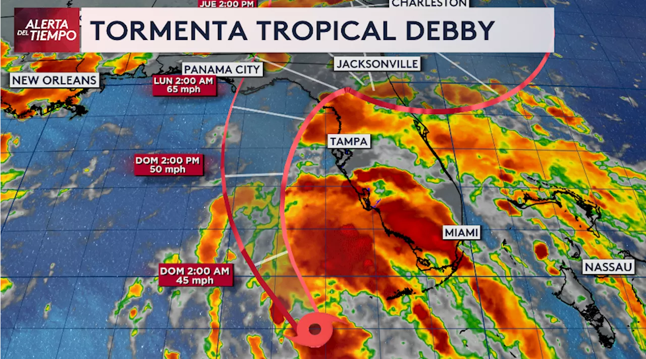 Se forma la tormenta tropical Debby, que impactaría al oeste de Florida: ¿Cuál es el pronóstico para Tampa y Orlando?