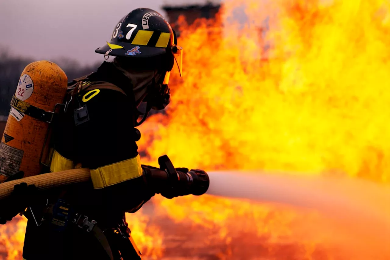 Qué hay que estudiar para ser bombero en Colombia: cursos, duración y lo que debe saber