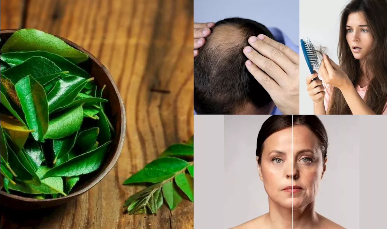 Curry Leaves Benefits: కరివేపాకు అని తీసి పారేయకండి.. పరగడుపున తింటే నిండు ఆరోగ్యం