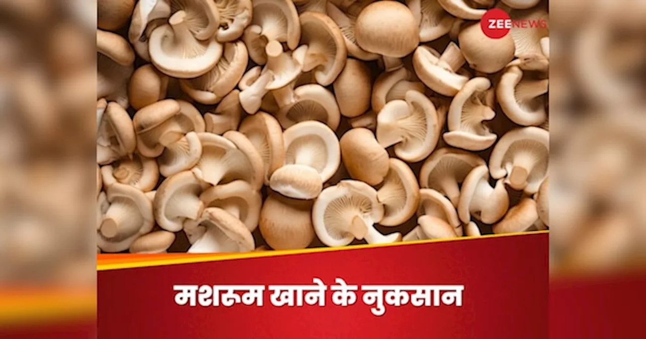 Mushroom: इन परेशानियों में बिल्कुल भी न खाएं मशरूम, वरना नुकसान से बच नहीं पाएंगे आप