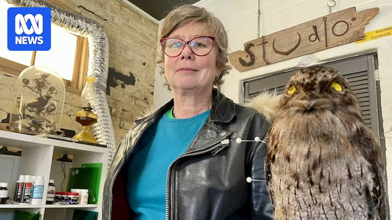 Ethical taxidermist Robyn Austin turns birds and foxes into life-like art