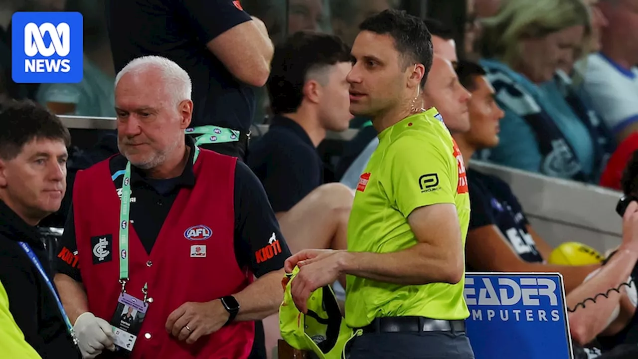 Lifetime ban for footy fan who threw water bottle at AFL goal umpire