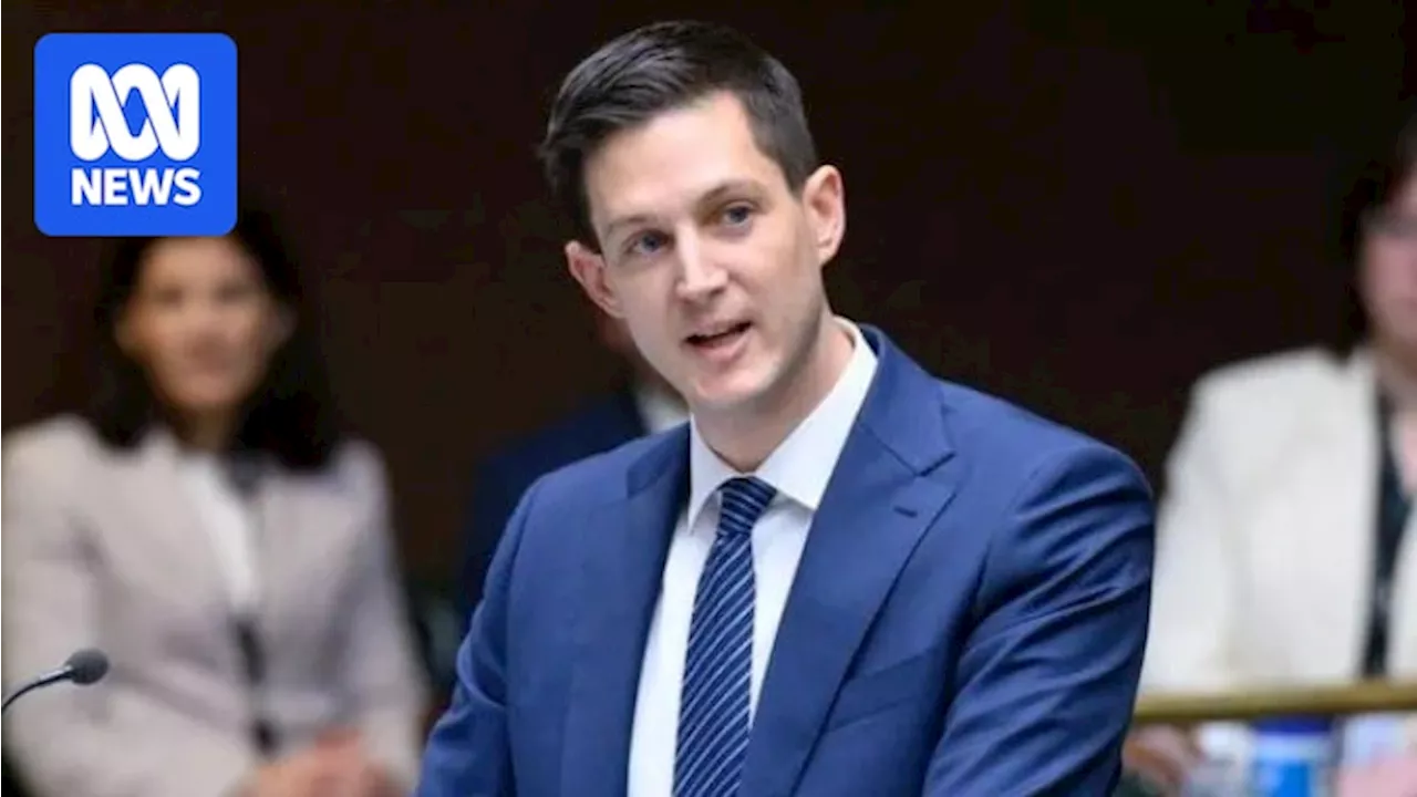 NSW Liberal Rory Amon's resignation following child-sex charges triggers party's third by-election