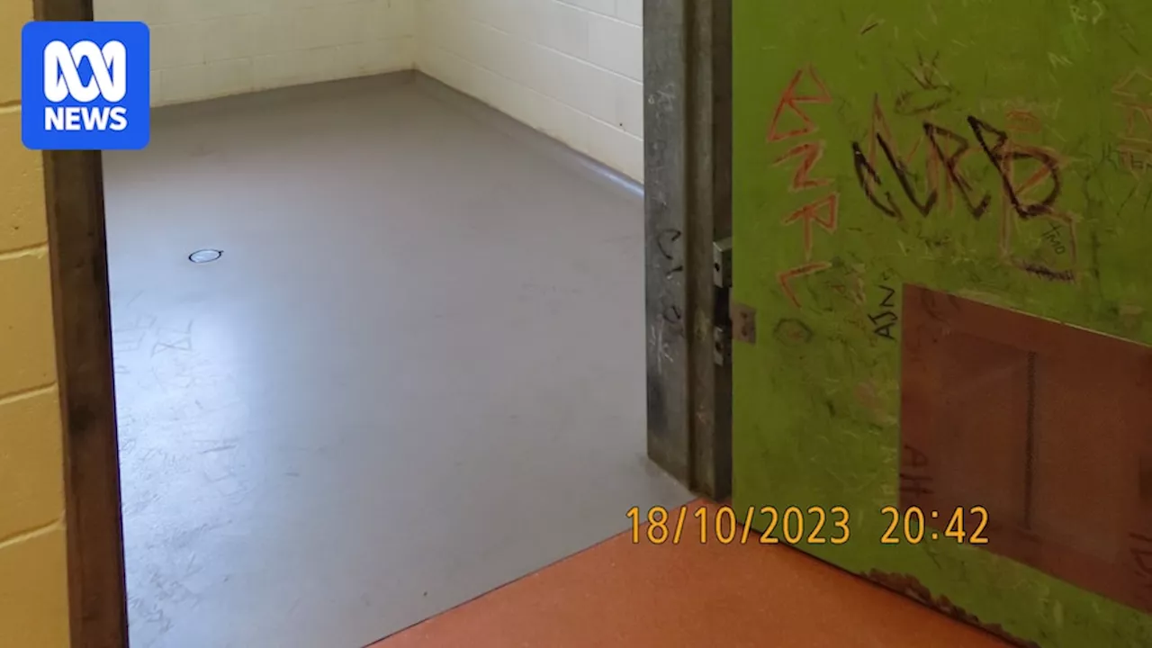 Prison watchdog calls out Queensland government for mixed signals on youth detention